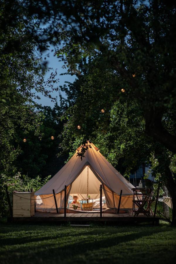 Hotel Dragonfly Gardens Urban Glamping Brașov Exterior foto