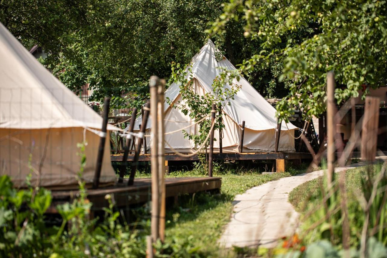Hotel Dragonfly Gardens Urban Glamping Brașov Exterior foto