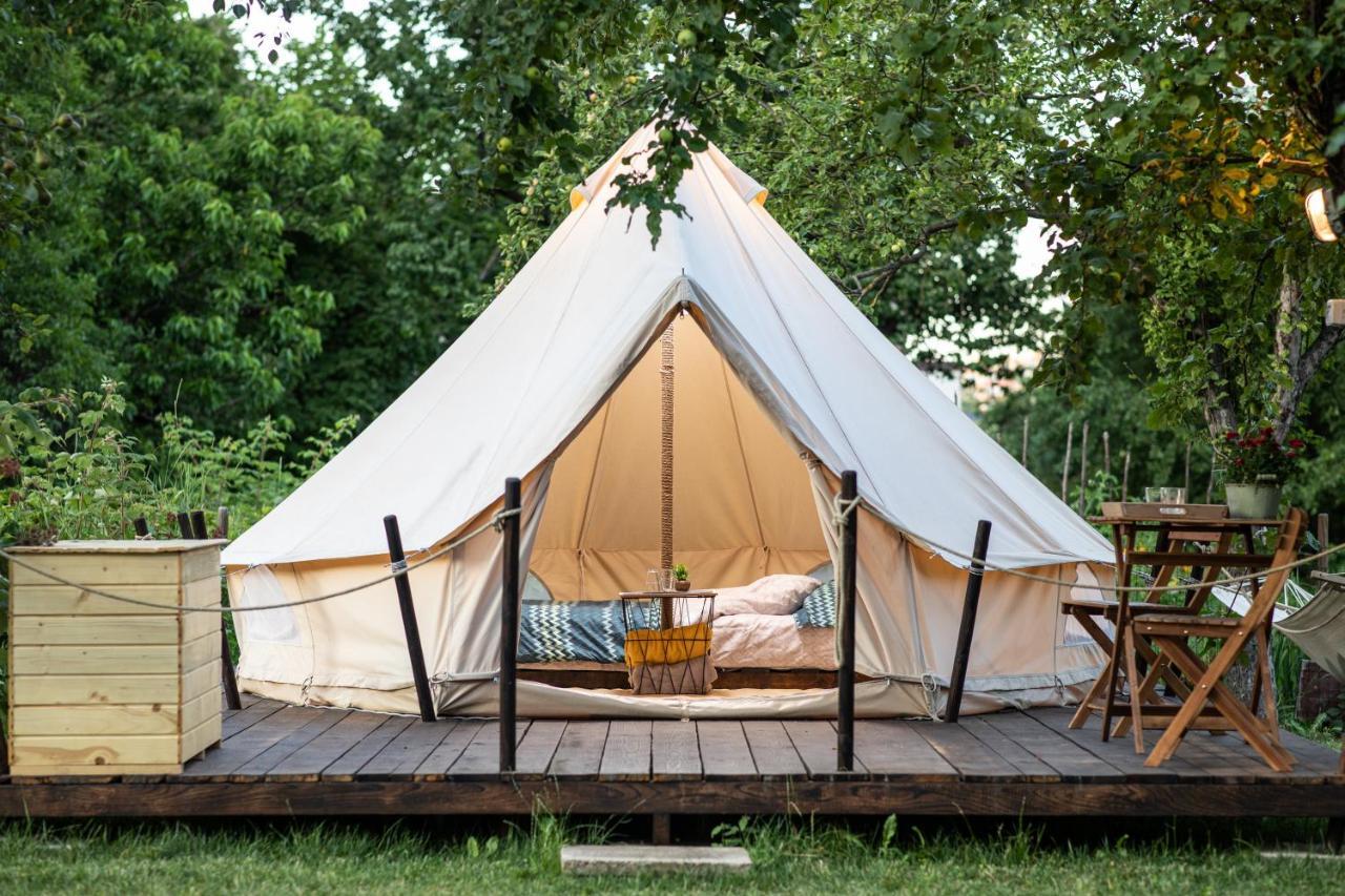 Hotel Dragonfly Gardens Urban Glamping Brașov Exterior foto