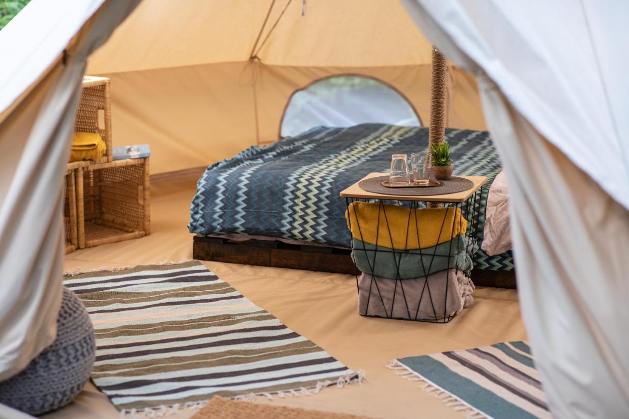 Hotel Dragonfly Gardens Urban Glamping Brașov Exterior foto