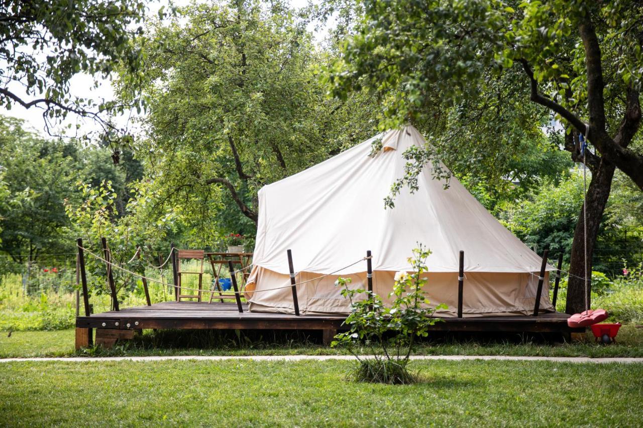 Hotel Dragonfly Gardens Urban Glamping Brașov Exterior foto