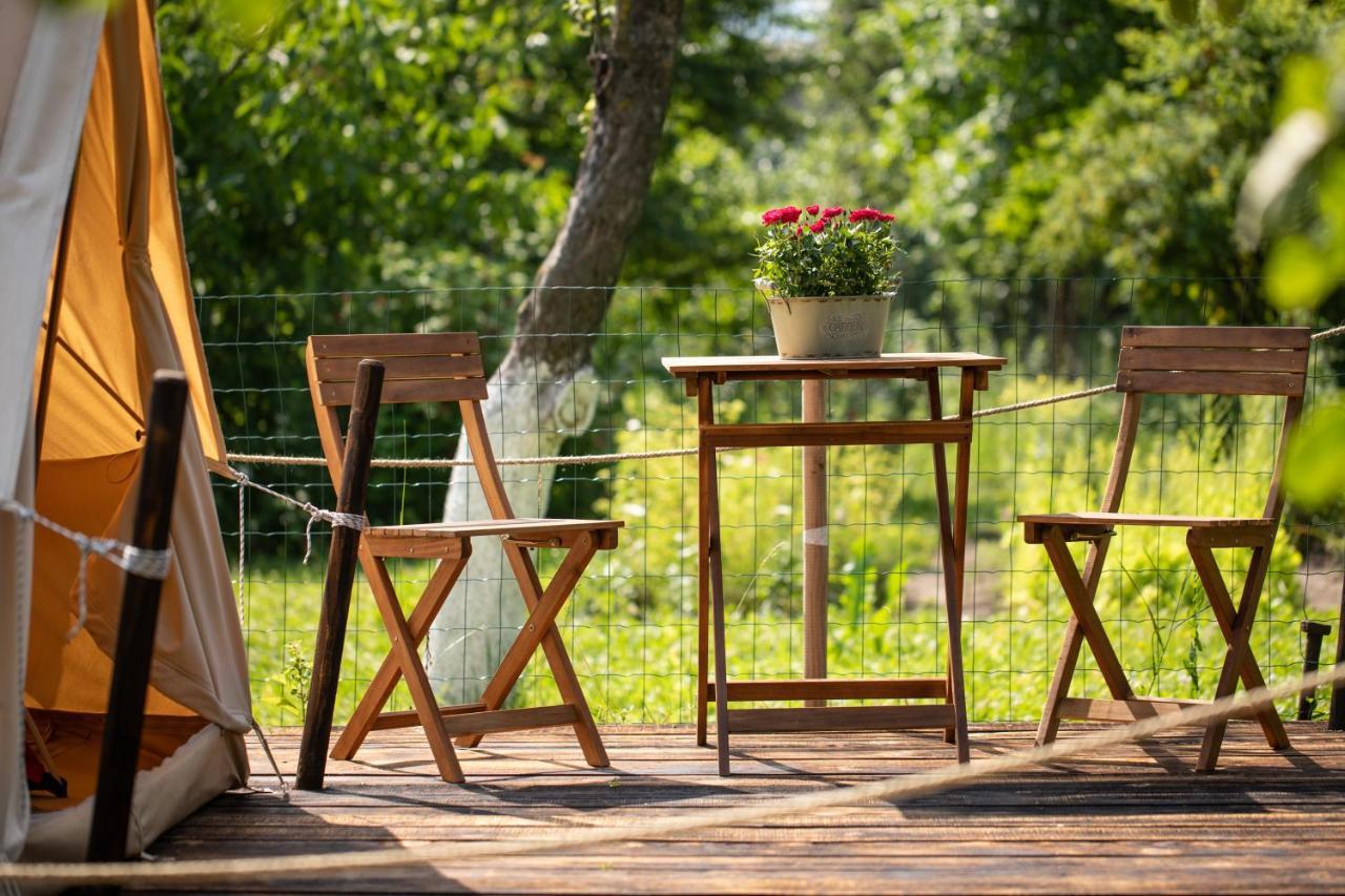 Hotel Dragonfly Gardens Urban Glamping Brașov Exterior foto