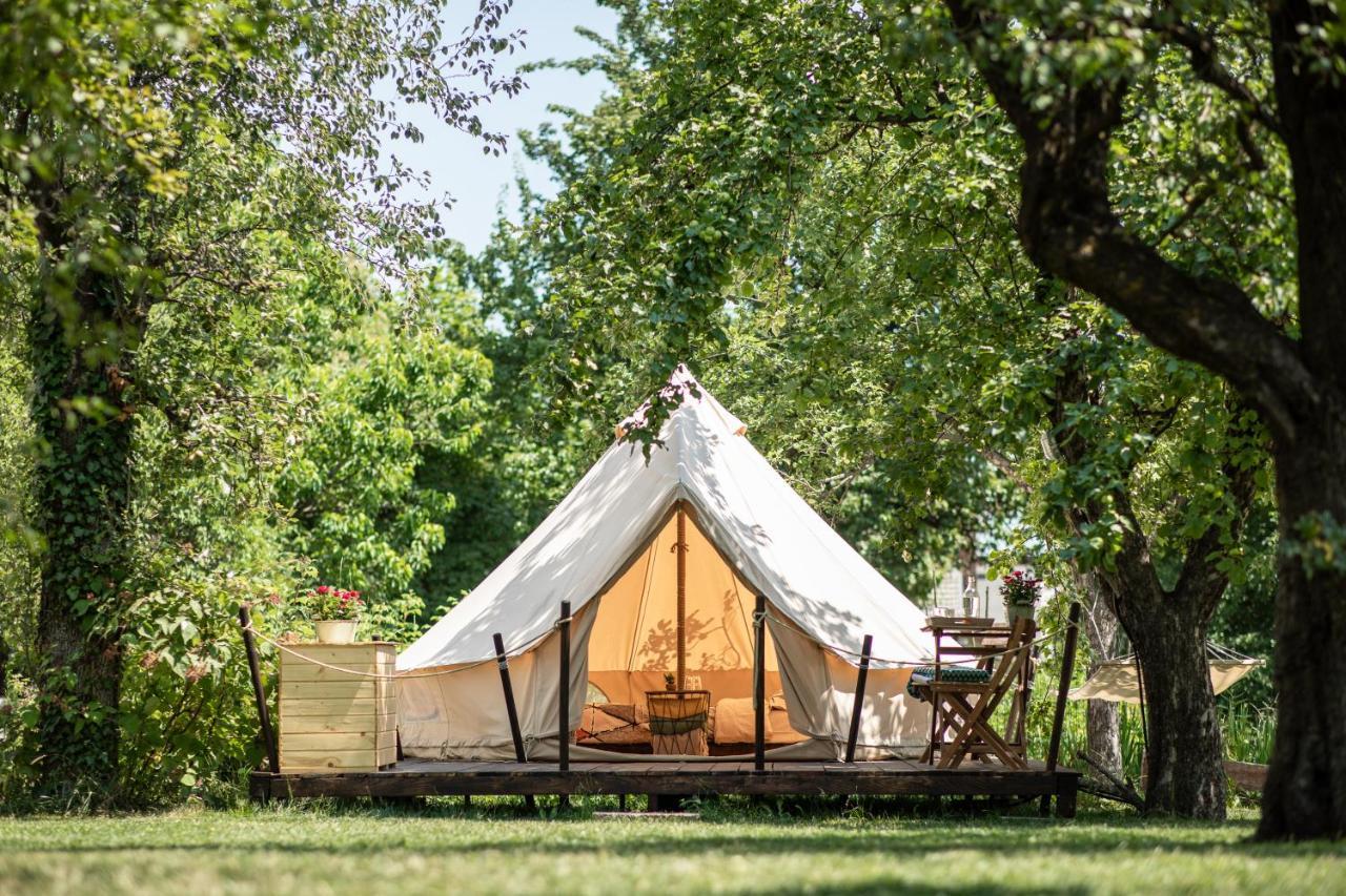Hotel Dragonfly Gardens Urban Glamping Brașov Exterior foto