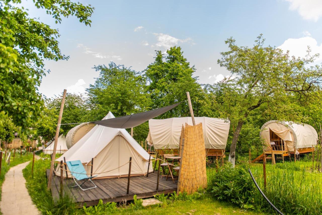 Hotel Dragonfly Gardens Urban Glamping Brașov Exterior foto