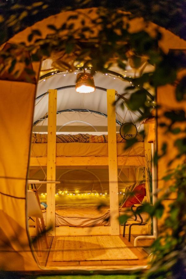 Hotel Dragonfly Gardens Urban Glamping Brașov Exterior foto