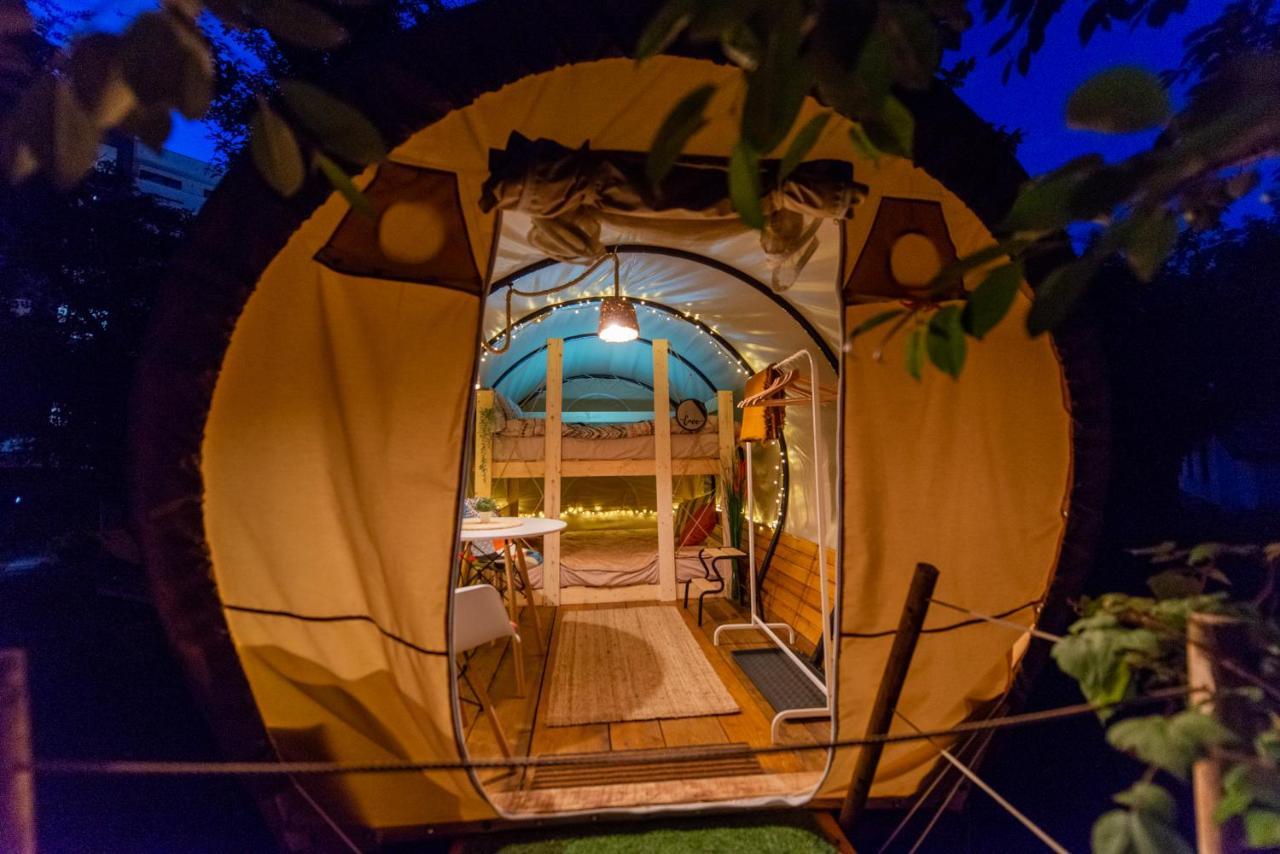 Hotel Dragonfly Gardens Urban Glamping Brașov Exterior foto