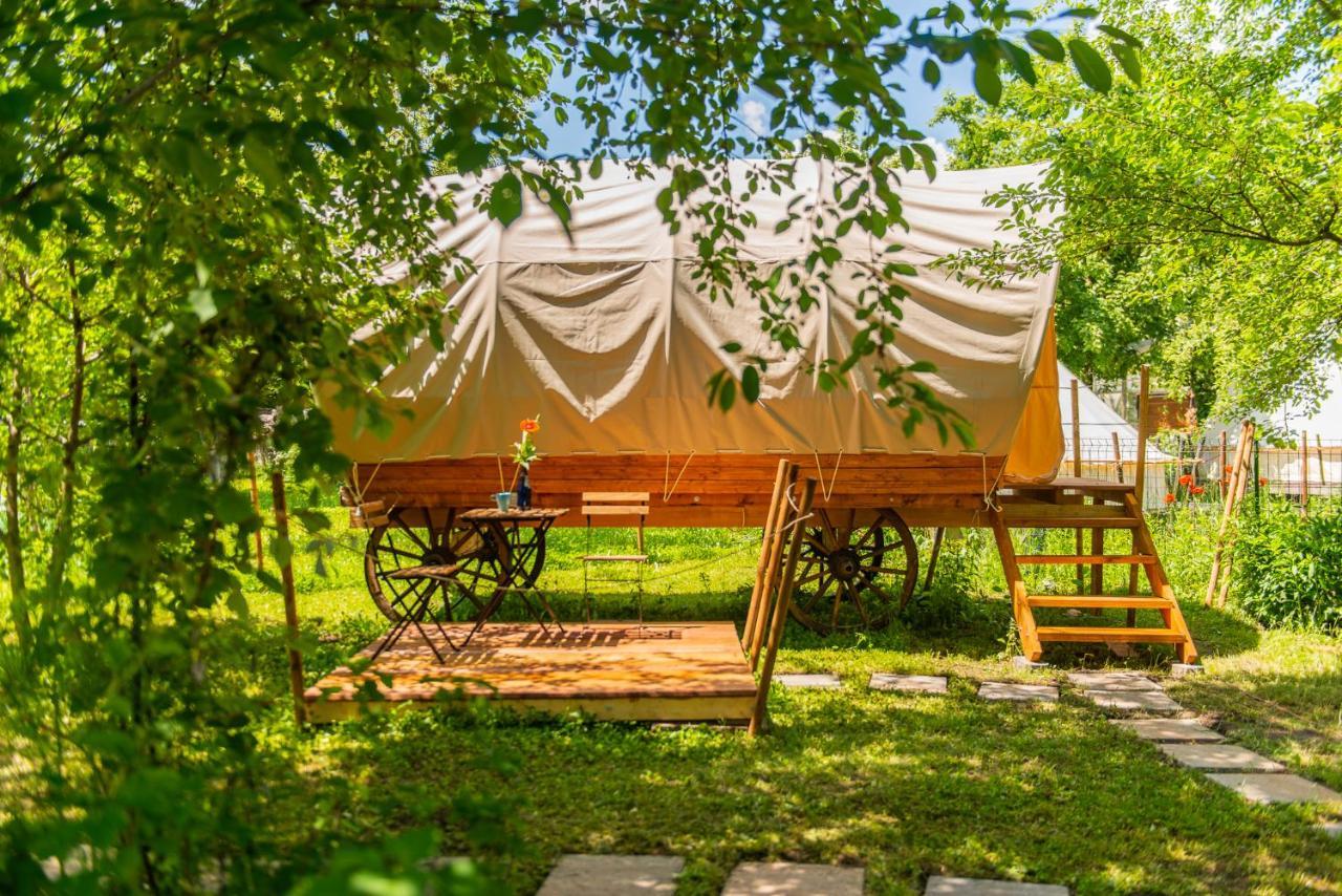 Hotel Dragonfly Gardens Urban Glamping Brașov Exterior foto