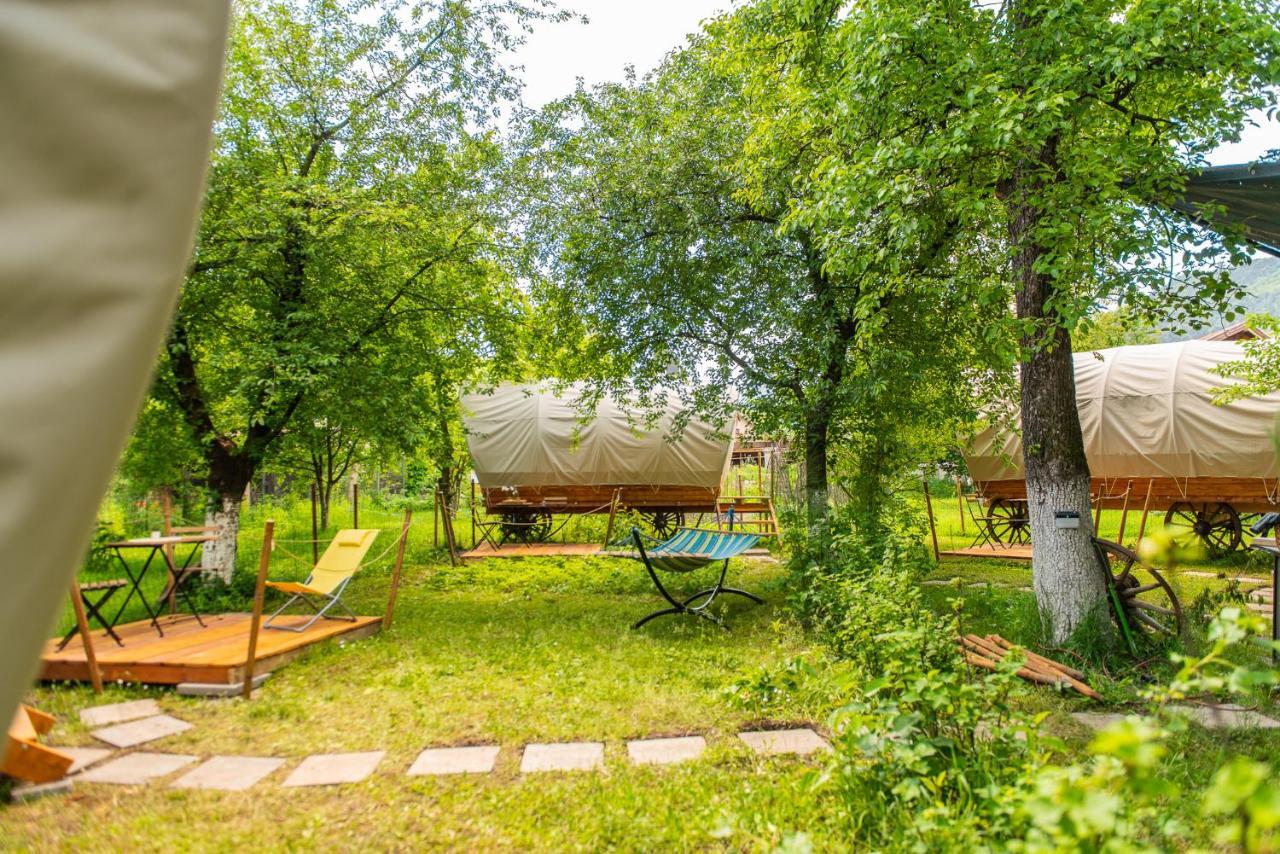 Hotel Dragonfly Gardens Urban Glamping Brașov Exterior foto
